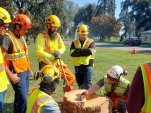 Utility Line Clearance Arborist Training