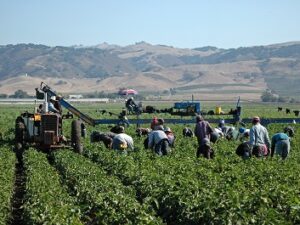 Heat Illness & Pesticide Safety